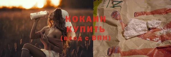 винт Верея