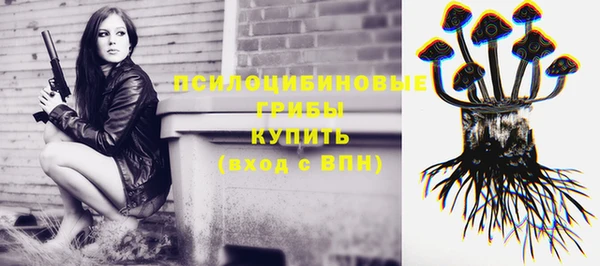 mdpv Верхний Тагил