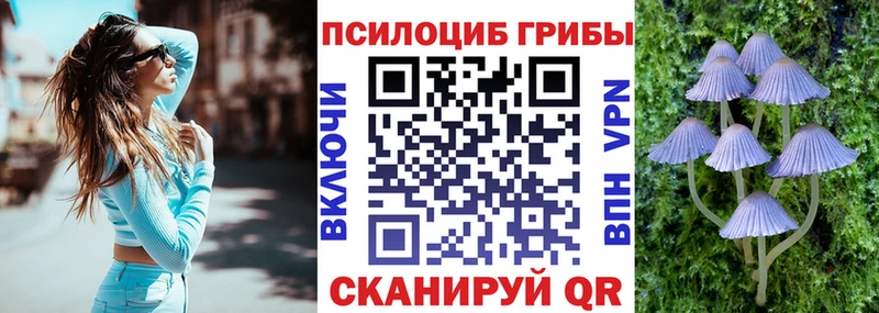 Псилоцибиновые грибы MAGIC MUSHROOMS как найти наркотики площадка клад Инсар